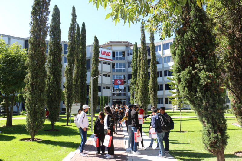 Campus Virtual Universidad Madero Puebla Acceso Y Guías De Uso【 2024 6678
